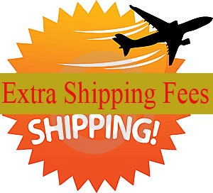 Shipping Fee