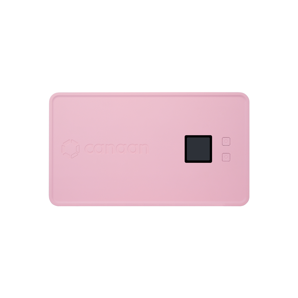 Avalon Nano 3 / Jan. Future with US Adaptor